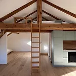Dachboden Loft Apartment Laax