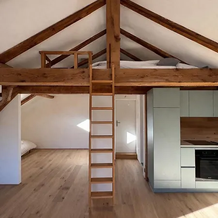 Dachboden Loft Апартаменты Лакс