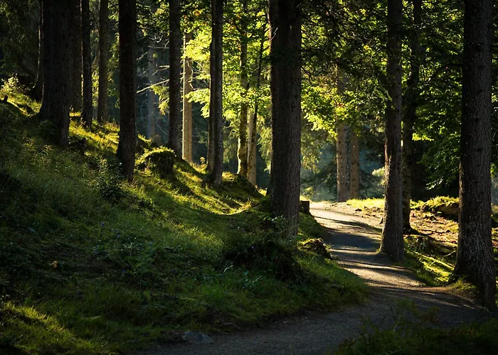 Dachboden Loft לאקס